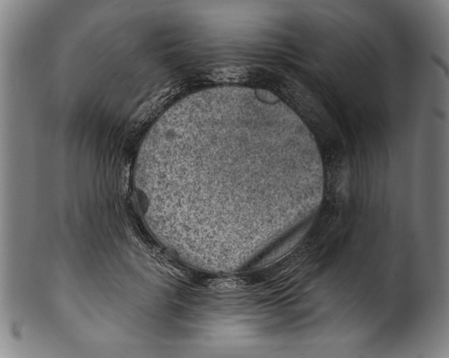 X0000100900652200807220953