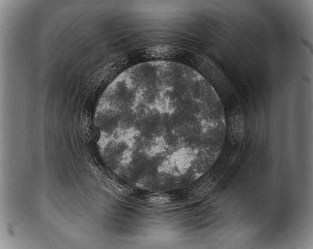 X0000100900653200807220953