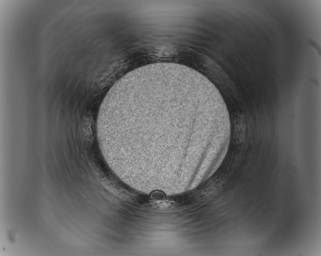 X0000100900654200807220953