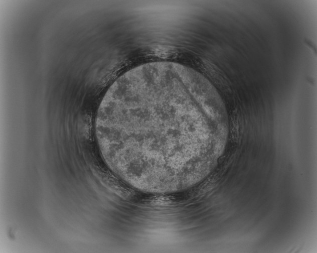 X0000100900656200807220953