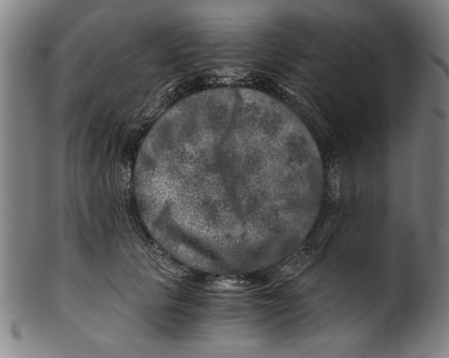 X0000100900657200807220953