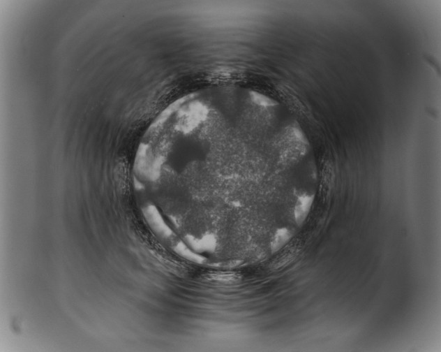 X0000100900659200807220953