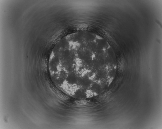 X0000100900661200807220953