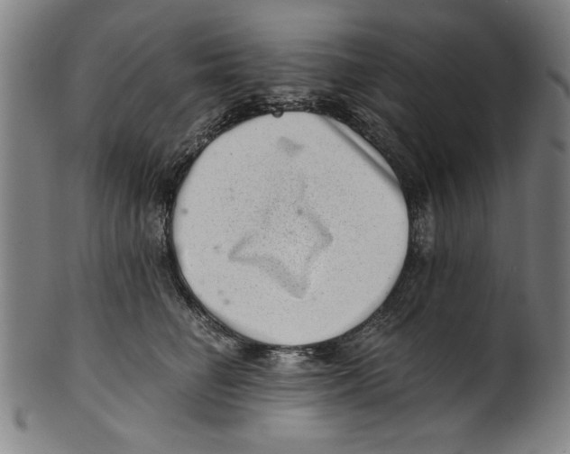 X0000100900662200807220953