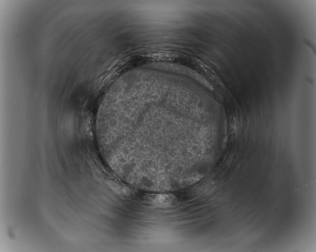 X0000100900663200807220953