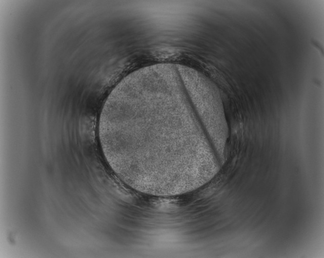 X0000100900664200807220953