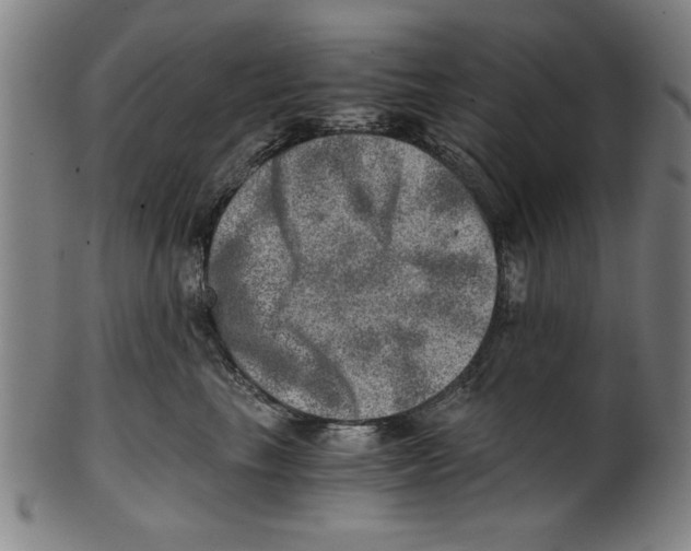 X0000100900665200807220953