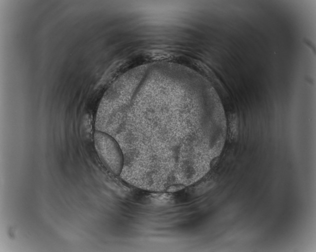 X0000100900667200807220953