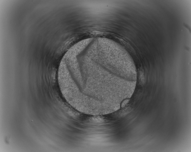 X0000100900668200807220953