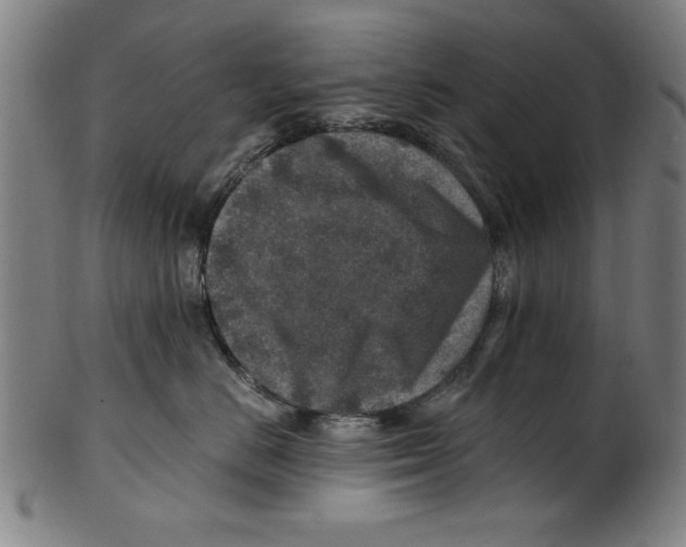 X0000100900670200807220953