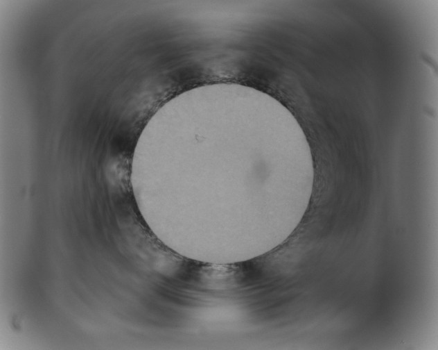 X0000100900672200807220953