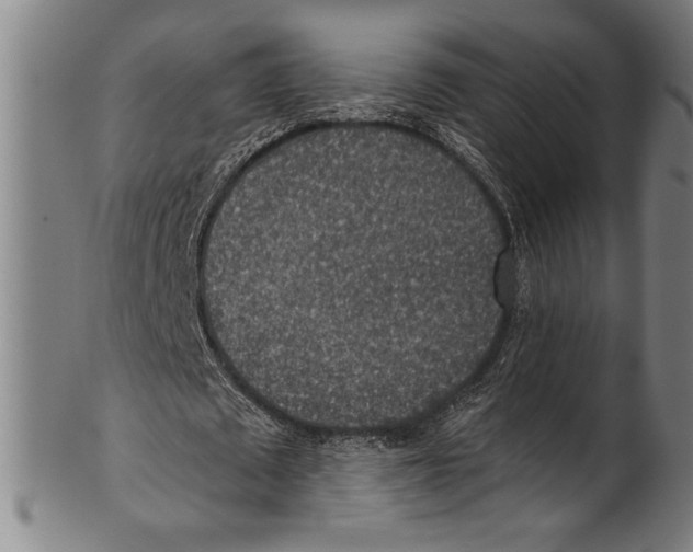 X0000100900673200807220952