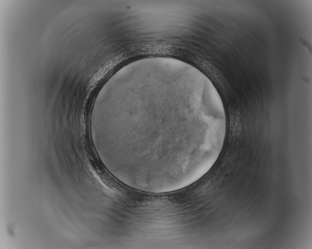 X0000100900674200807220952