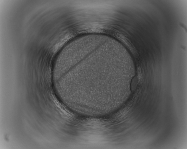 X0000100900677200807220952