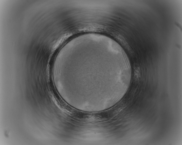 X0000100900678200807220952