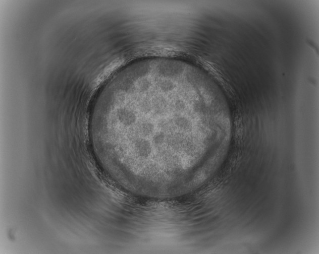 X0000100900679200807220952