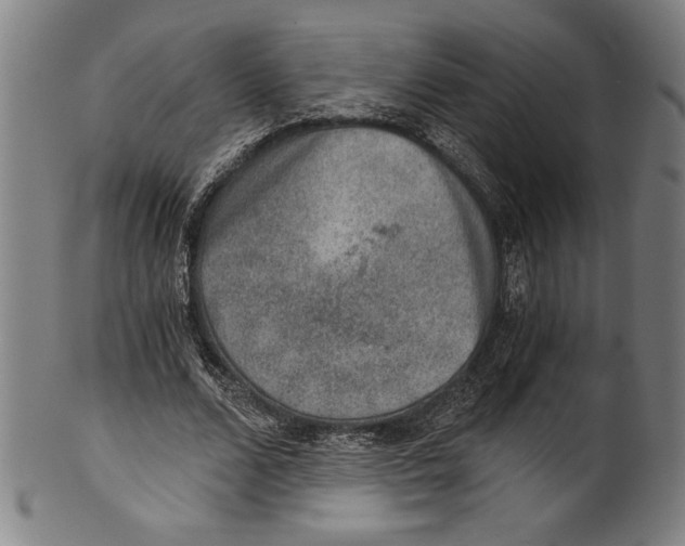 X0000100900680200807220952