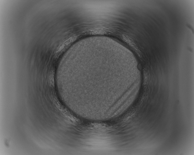 X0000100900681200807220952