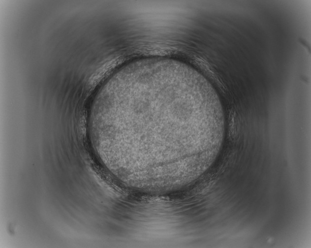 X0000100900683200807220952