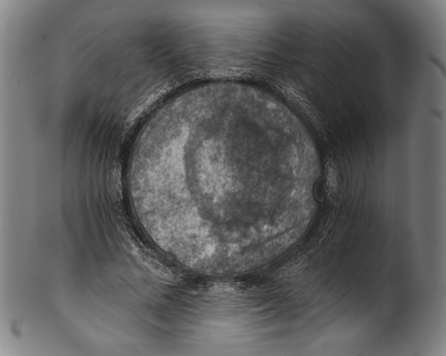 X0000100900684200807220952