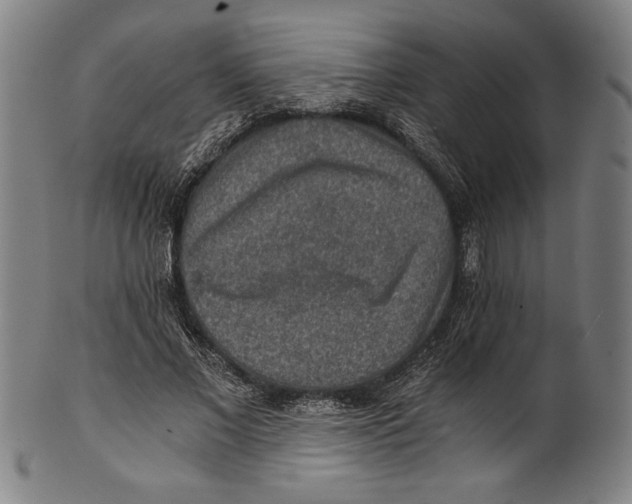 X0000100900685200807220952