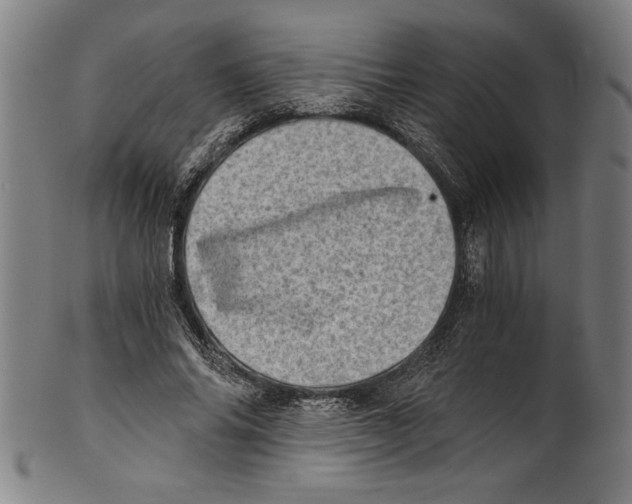 X0000100900686200807220952