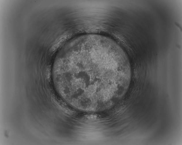 X0000100900687200807220952