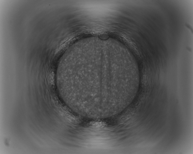 X0000100900689200807220952