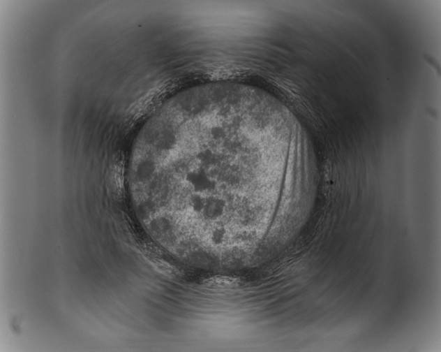 X0000100900691200807220952