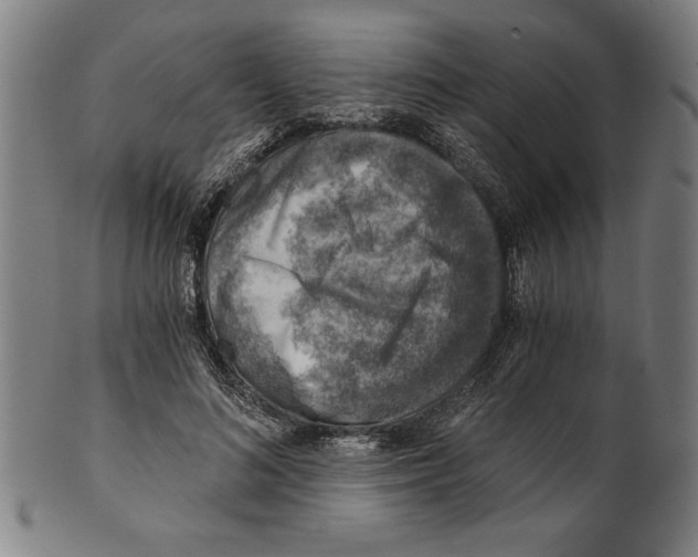 X0000100900692200807220952