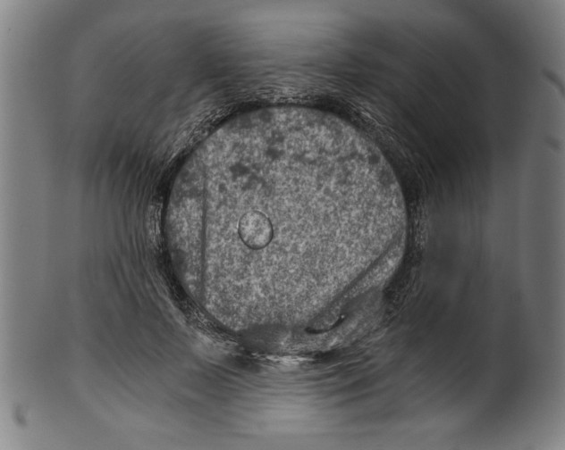 X0000100900695200807220952