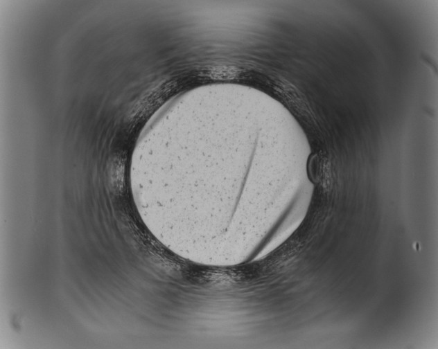 X0000100900697200807220952