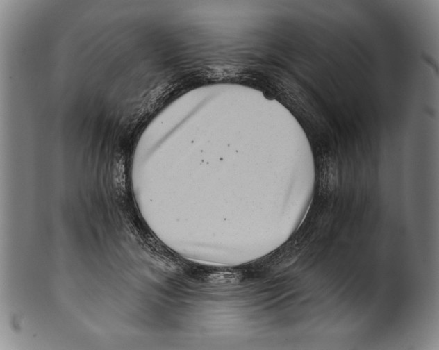 X0000100900700200807220952