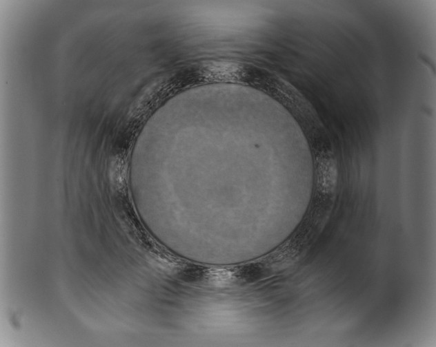 X0000100900701200807220952