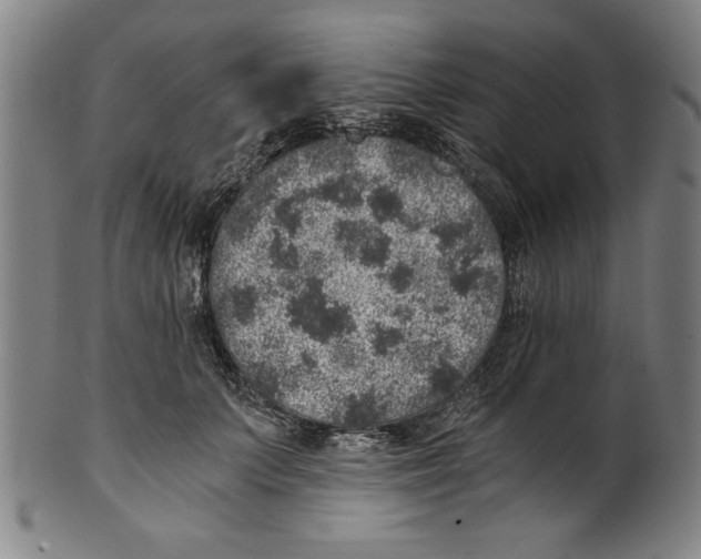 X0000100900703200807220952