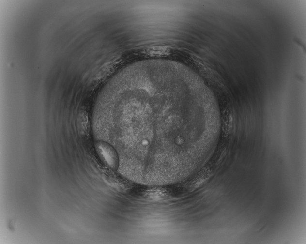 X0000100900704200807220952