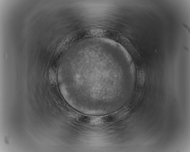 X0000100900705200807220952