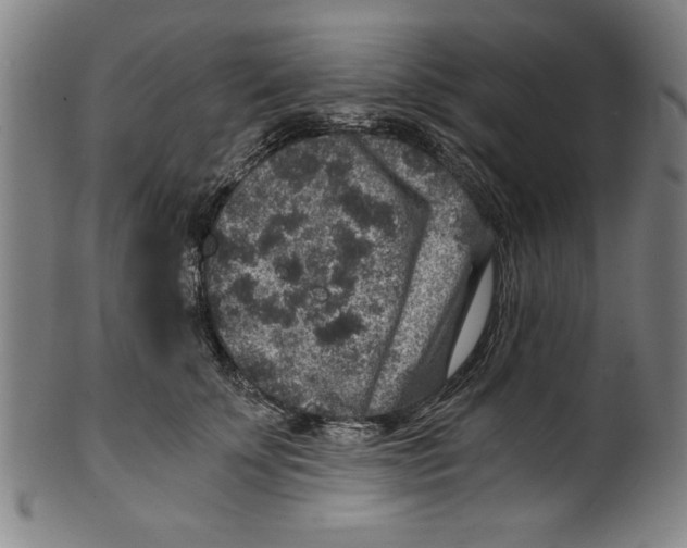 X0000100900707200807220952