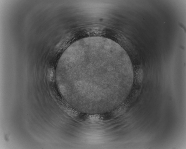 X0000100900709200807220951