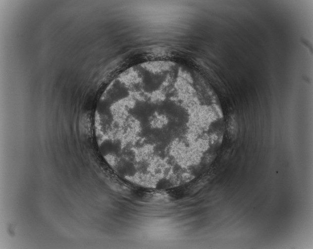 X0000100900715200807220951