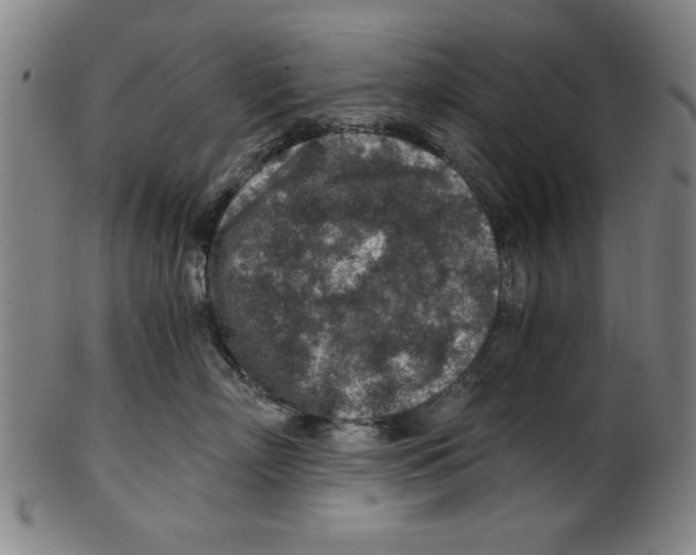 X0000100900718200807220951