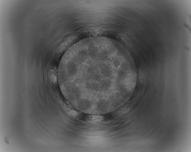 X0000100900719200807220951