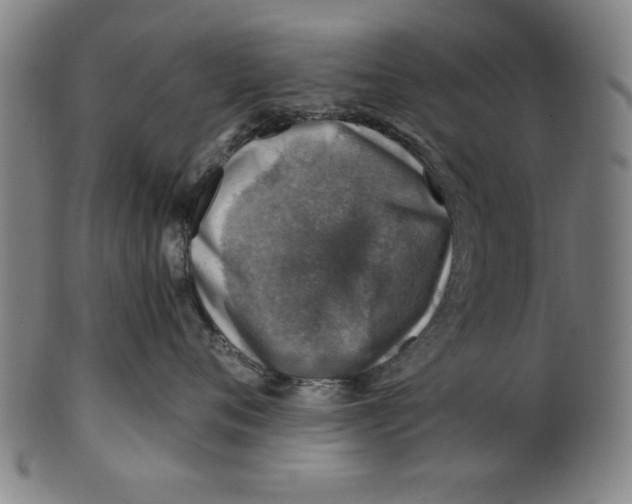 X0000100900720200807220951