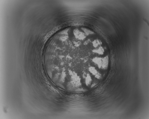 X0000100900721200807220951