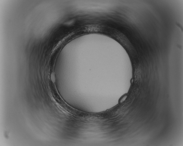 X0000100900722200807220951