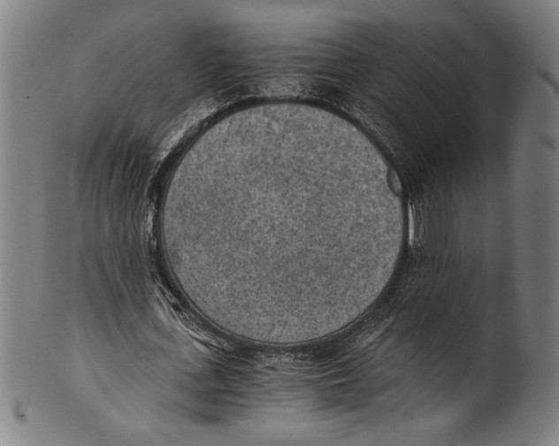 X0000100900723200807220951