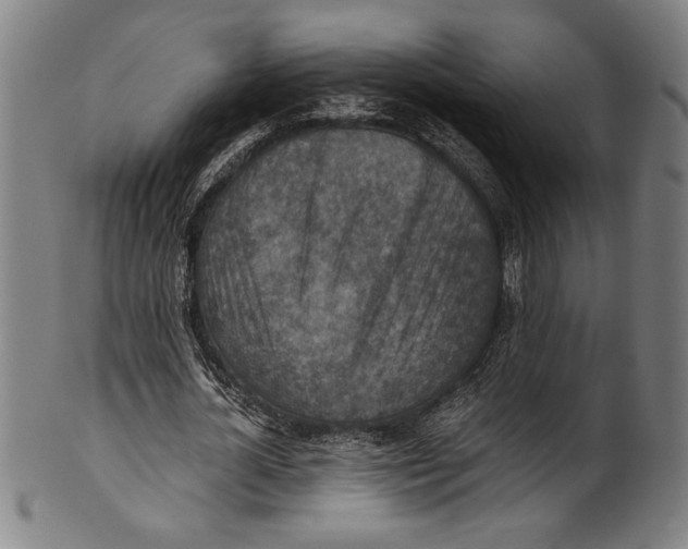 X0000100900724200807220951