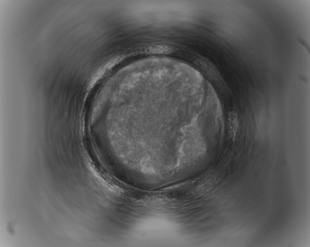 X0000100900726200807220951