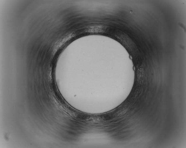 X0000100900727200807220951