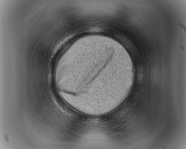 X0000100900728200807220951